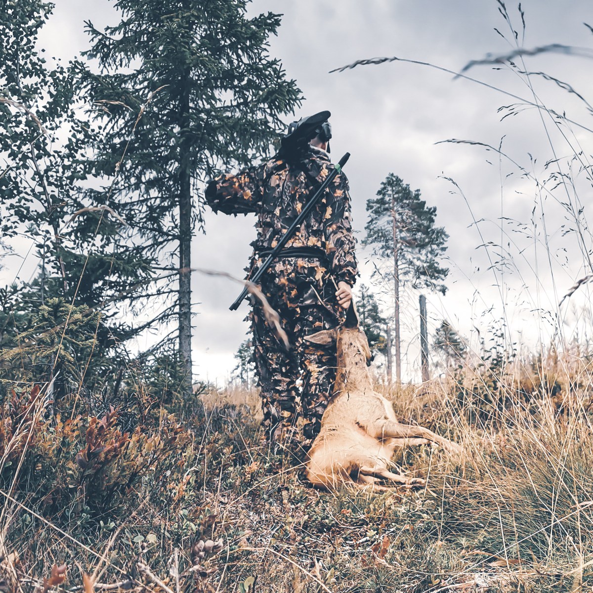 Rådjurstek med rödbetspure och&nbsp;vinegrettäpplen