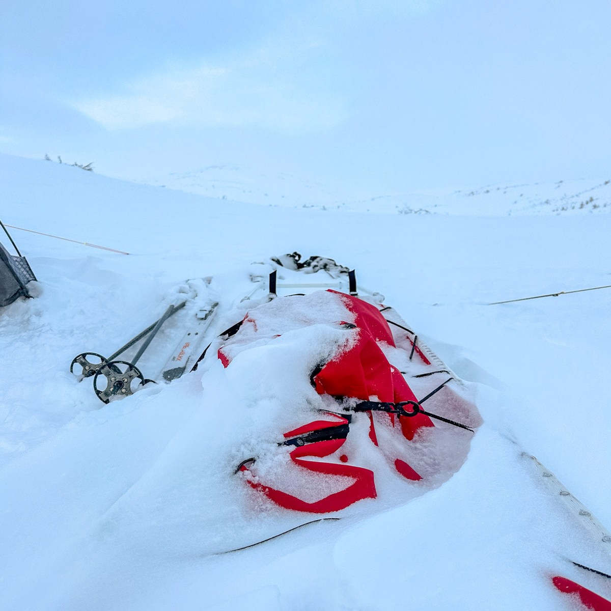 Testat: Jemtlander 17