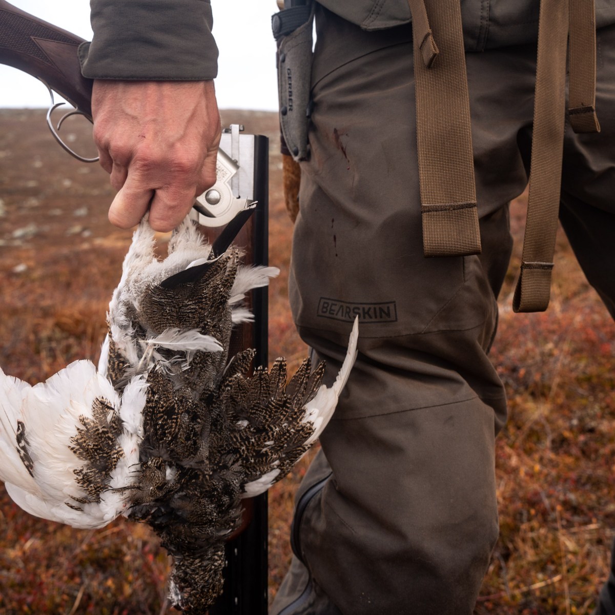 Testat: Bearskin Shell&nbsp;pant